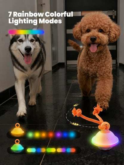 Automatic Moving & Rolling Interactive Toy, Ball with Rope for Boredom Relief in Small and Medium Dogs and Cats.