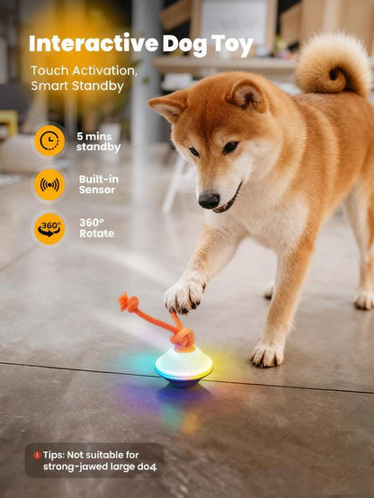 Automatic Moving & Rolling Interactive Toy, Ball with Rope for Boredom Relief in Small and Medium Dogs and Cats.