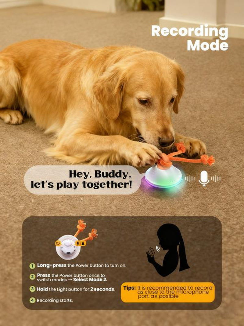 Automatic Moving & Rolling Interactive Toy, Ball with Rope for Boredom Relief in Small and Medium Dogs and Cats.